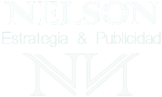 Nelson Estrategia Logo Footer